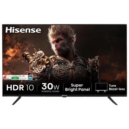 Hisense E43N 109.22 cm (43 inch) Full HD LED Smart Google TV with Dolby Audio